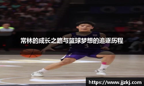 mk体育官网入口